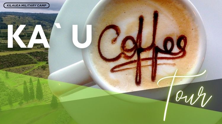 KAU COFFEE TOUR tour package promo POSTER (750 x 421 px).jpg