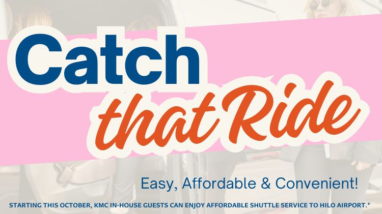 Catch that ride promo 10 2025 Instagram Post (750 x 421 px).jpg