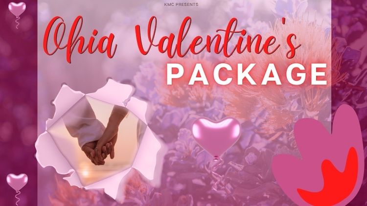 Happy Valentines Day Sale icon  (750 x 421 px).jpg