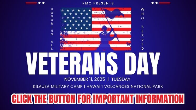 Veterans Day important info (750 x 421 px).jpg