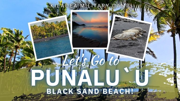 Punaluu promo 10 2025 (750 x 421 px).jpg