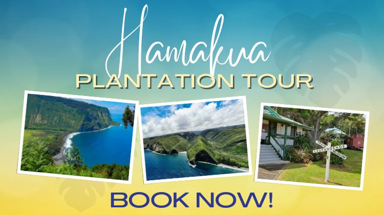 Hamakua plantation tour Package  (750 x 421 px).jpg