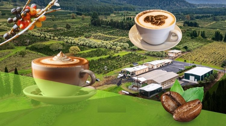KAU COFFEE TOUR tour packageicon 2 (750 x 421 px).jpg