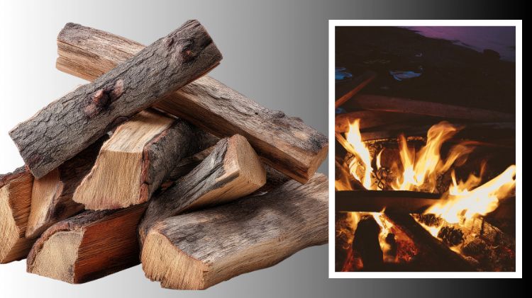 firewood IMAGE (750 x 421 px).jpg