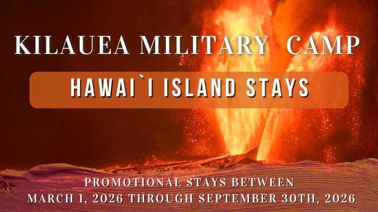 KMC March 2026 Promotion Poster 750 x 421.jpg