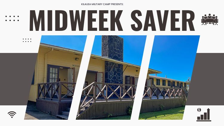 mid week saver (750 x 421 px).jpg