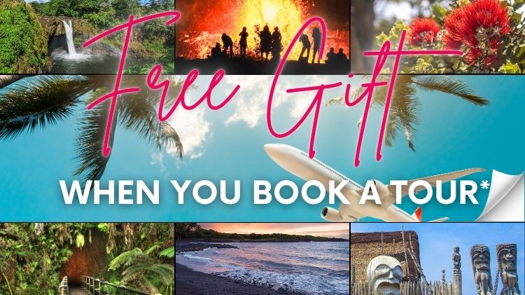 Free gift when you book a tour 2026 (750 x 421 px).jpg