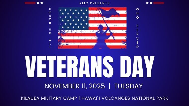 2025 Veterans Day icon website (750 x 421 px).jpg
